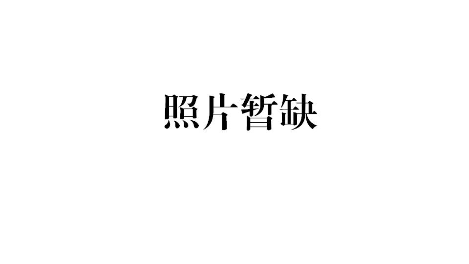 趙文剛
