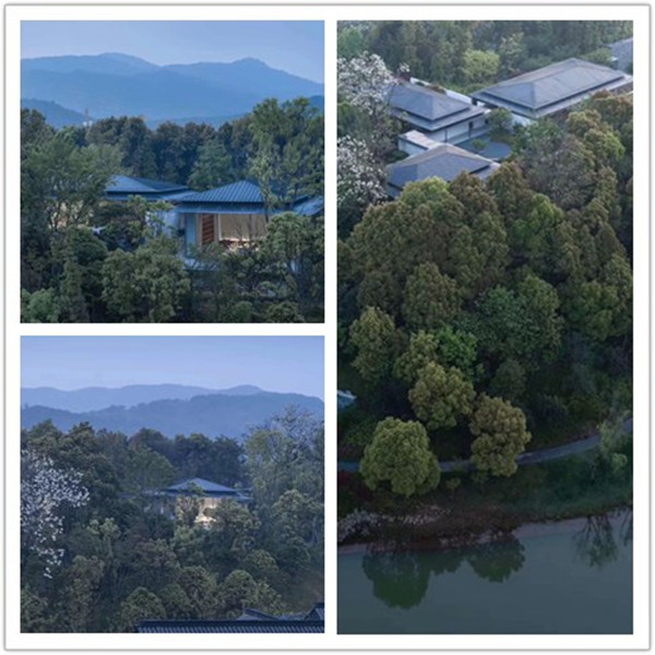 義烏桃花源入圍waf.jpg