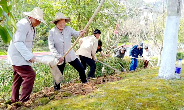 植樹節.jpg