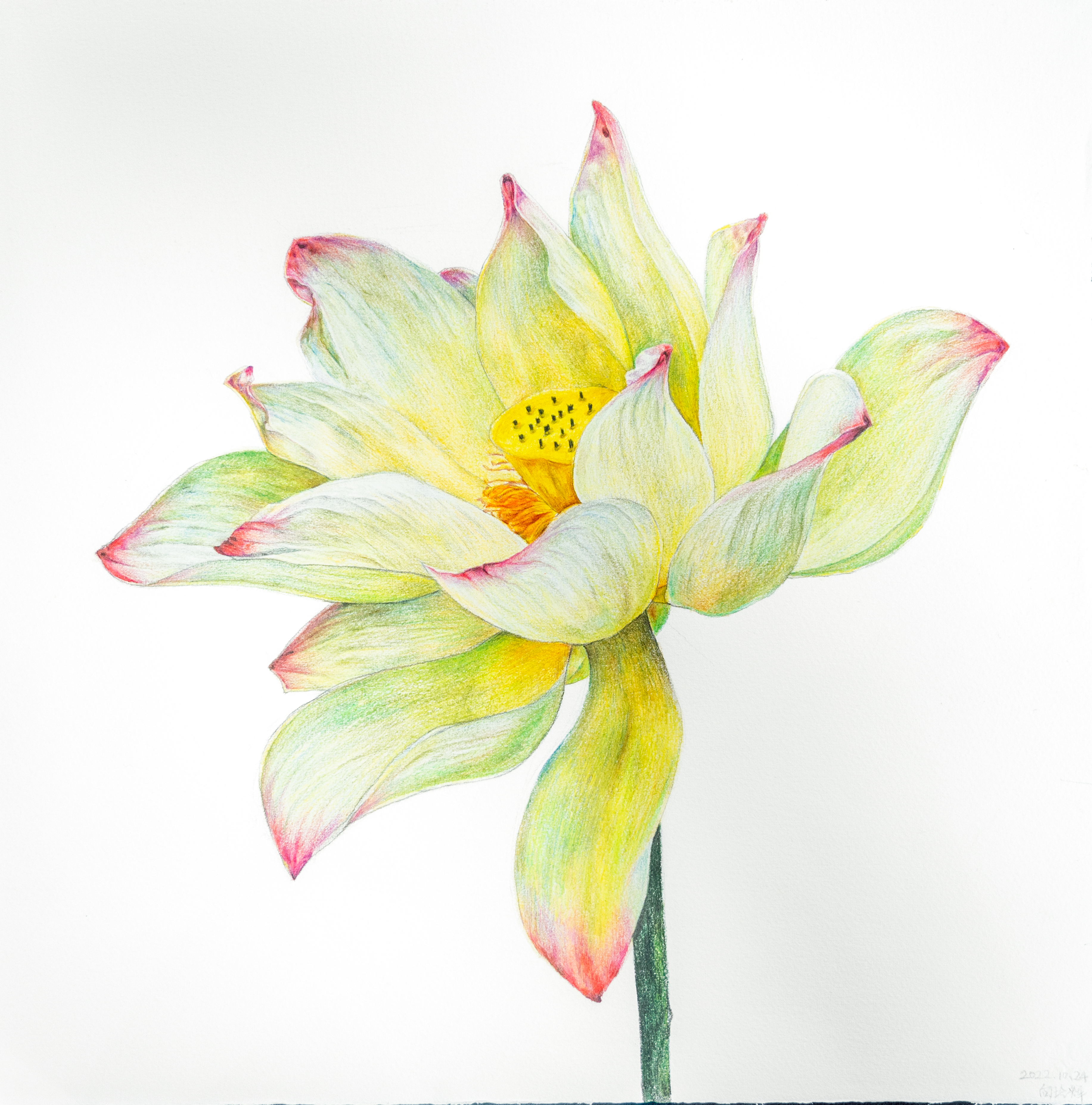 《愛蓮說》向玲輝.png