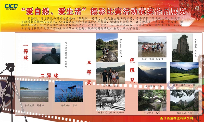 占籃板.jpg