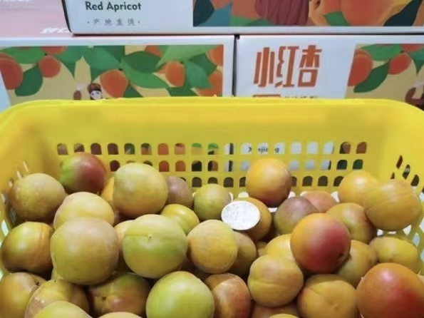 微信圖片_202206231707091.jpg