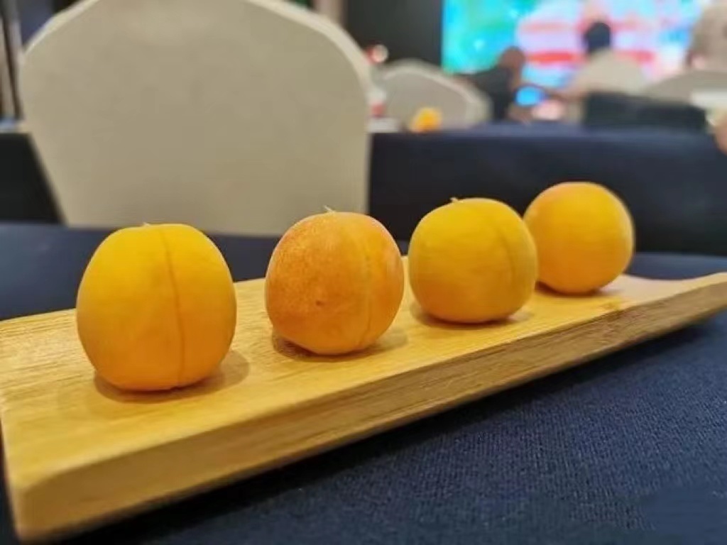 微信圖片_202206231707092.jpg